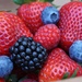 Fresh Organic Berries Delivered to your Door