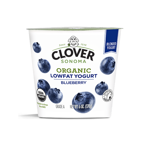 Organic Cover NonFat Blueberry Yogurt