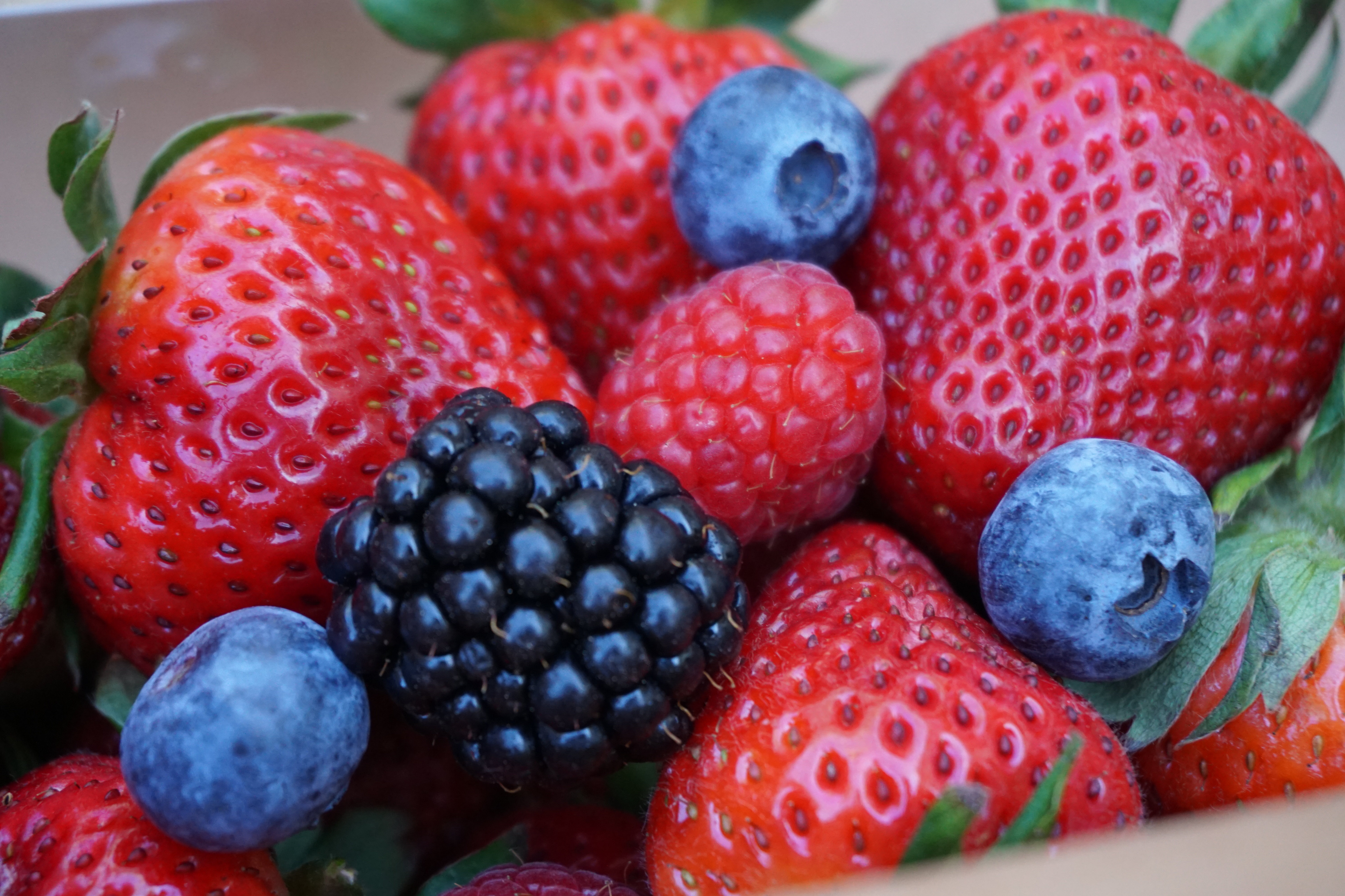 Fresh Berries Delivered to your Door